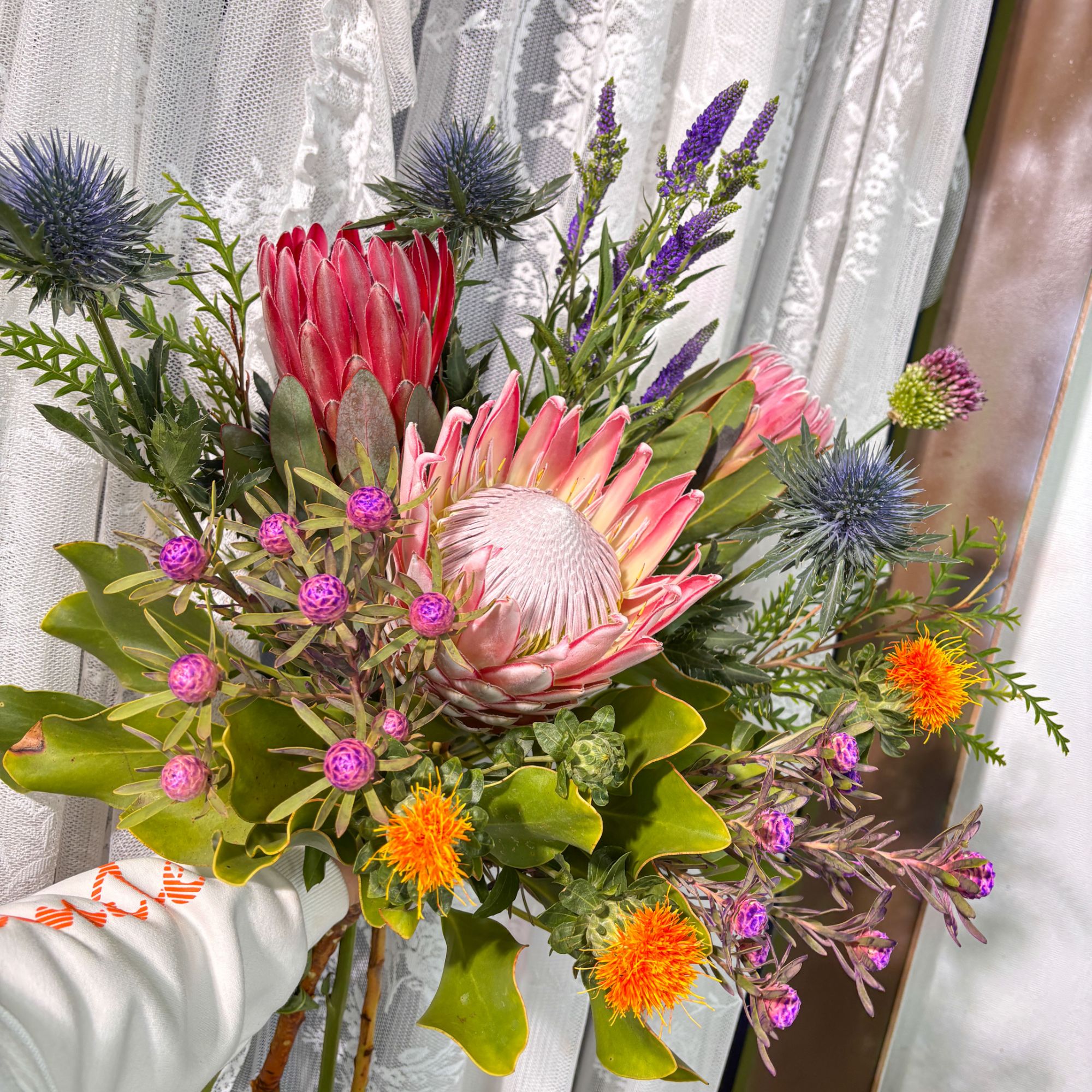 【暖春】南非进口鲜花帝王花公主花花束  顺丰