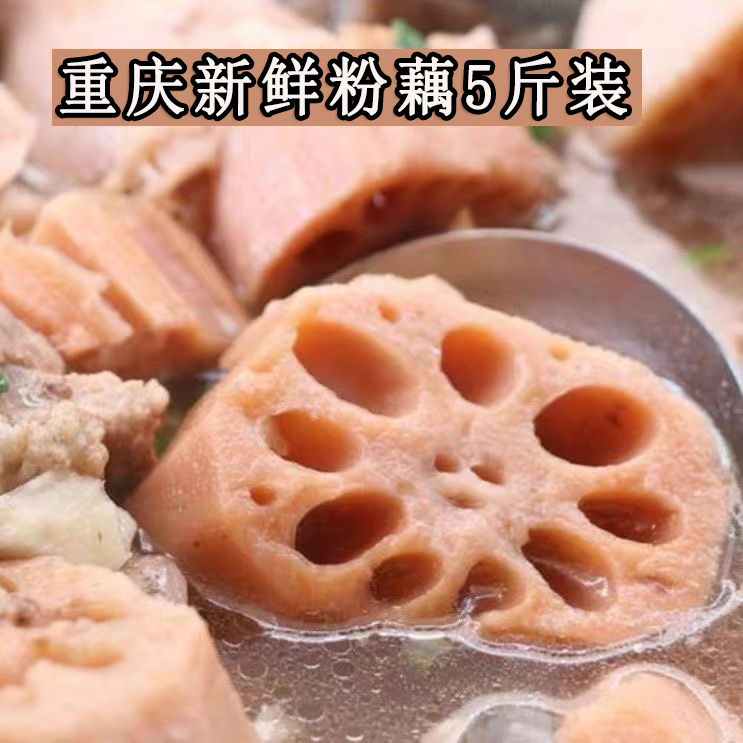 【次日达】永川莲藕粉藕十里荷香新鲜采摘粉糯香软应季煲汤3/5斤