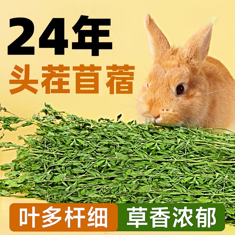 可可家2024年头茬紫花苜蓿烘干1公斤装