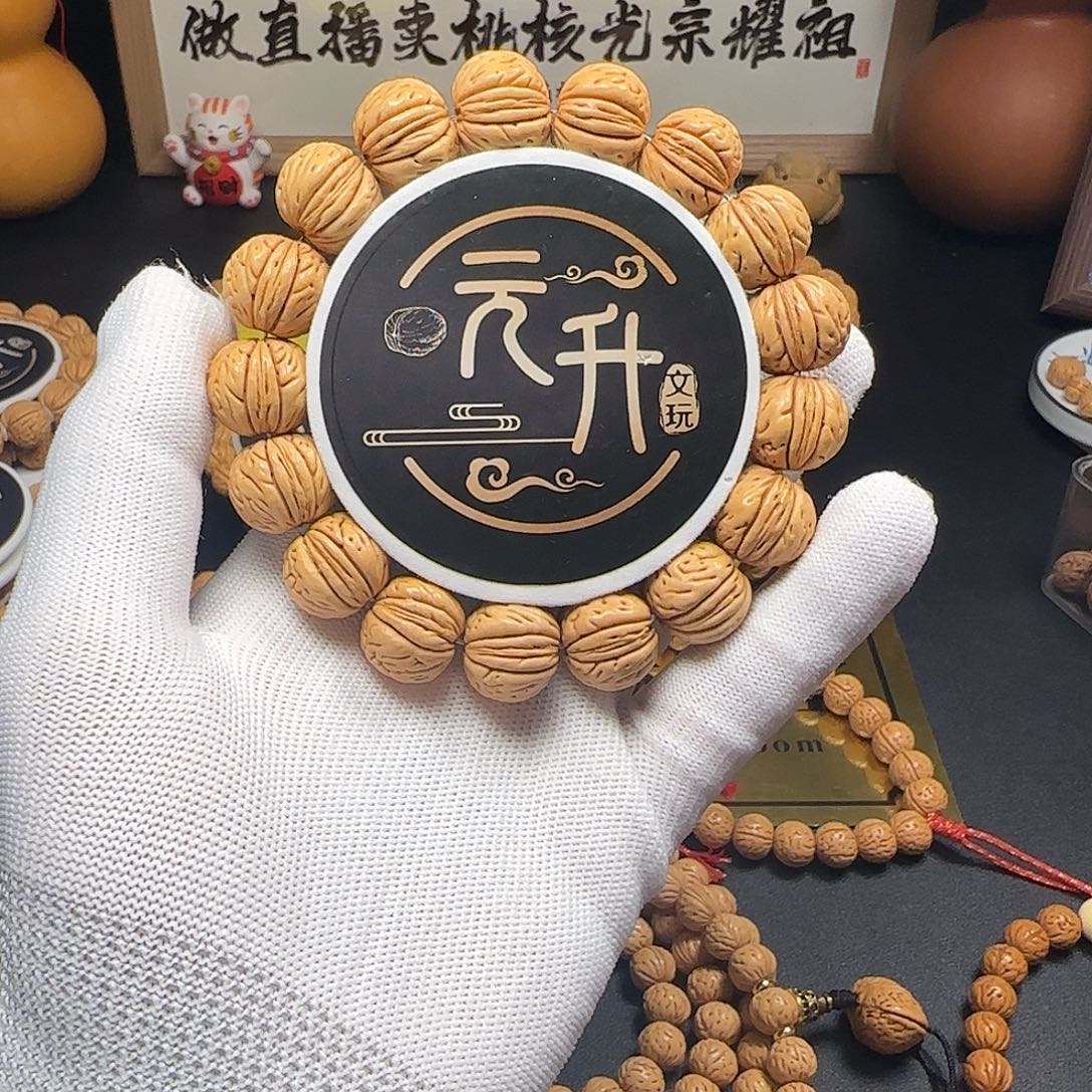 國核—沈城一号（金豆）