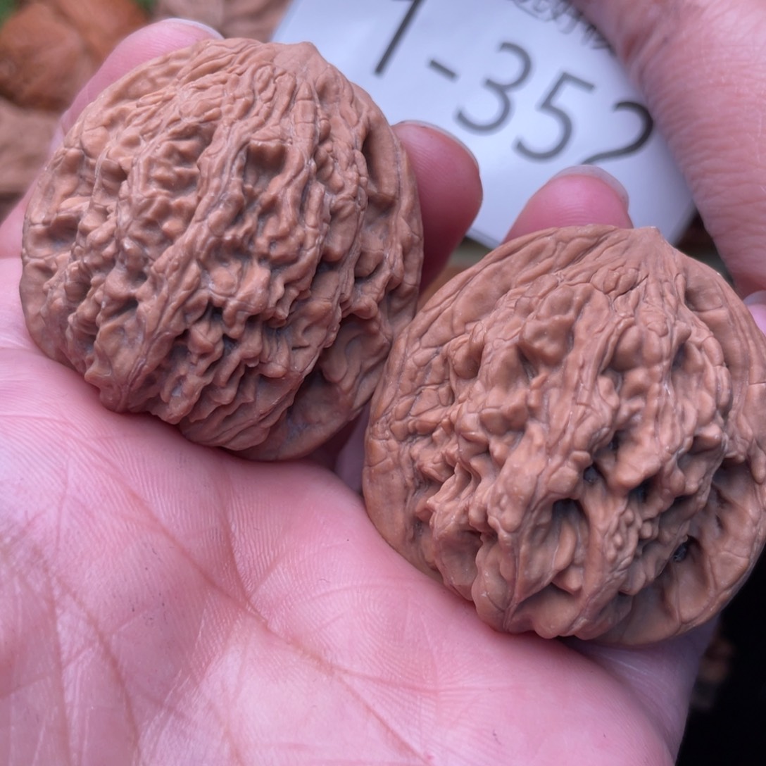 文玩核桃把件粗筋麦虎40