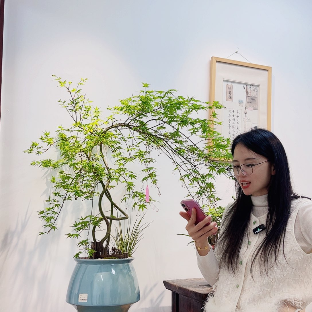 高端绿植一物一拍