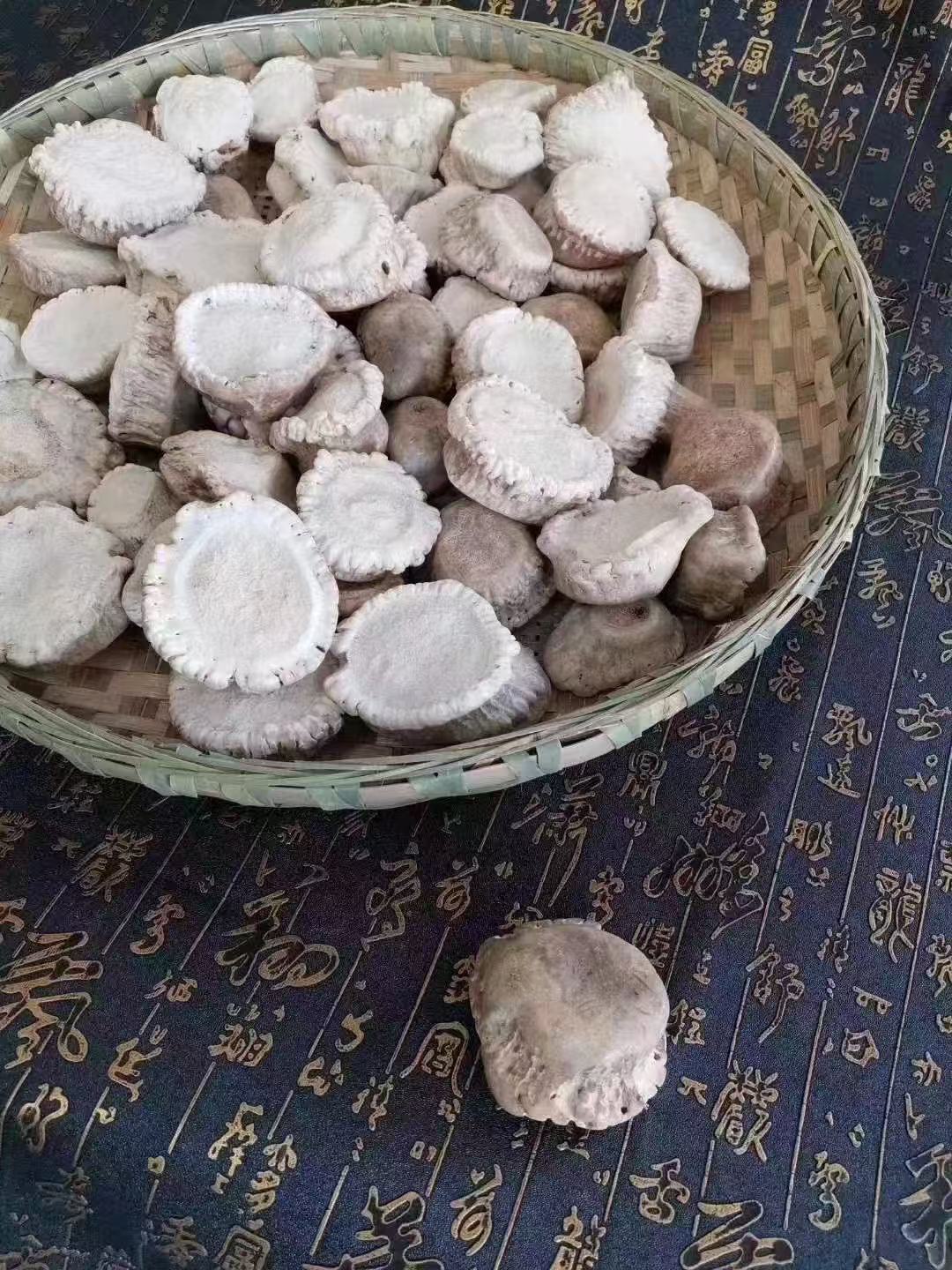 梅花鹿角帽免费打粉