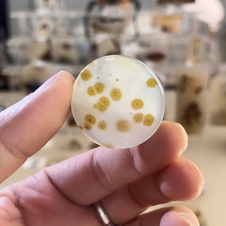 玛瑙/玉髓吊坠(不含链)未镶嵌