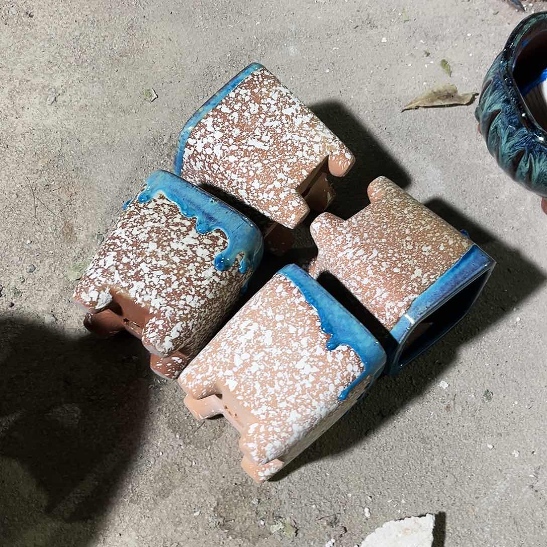 紫砂花盆花盆里的小