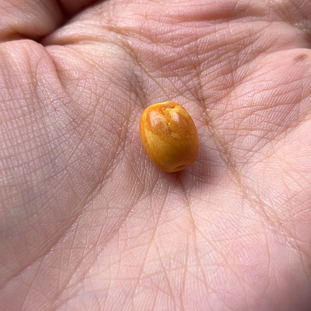 草***冰蜜蜡未镶嵌颈饰老蜜蜡