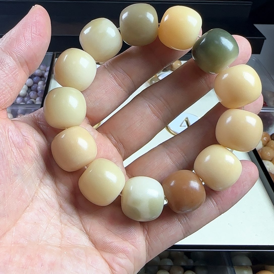 菩提根/象牙果手串龙*卡19手串一条