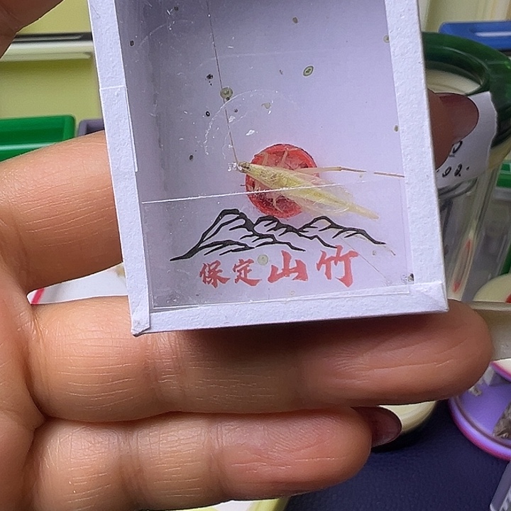 保定山竹哈哈哈哈哈哈哈哈哈