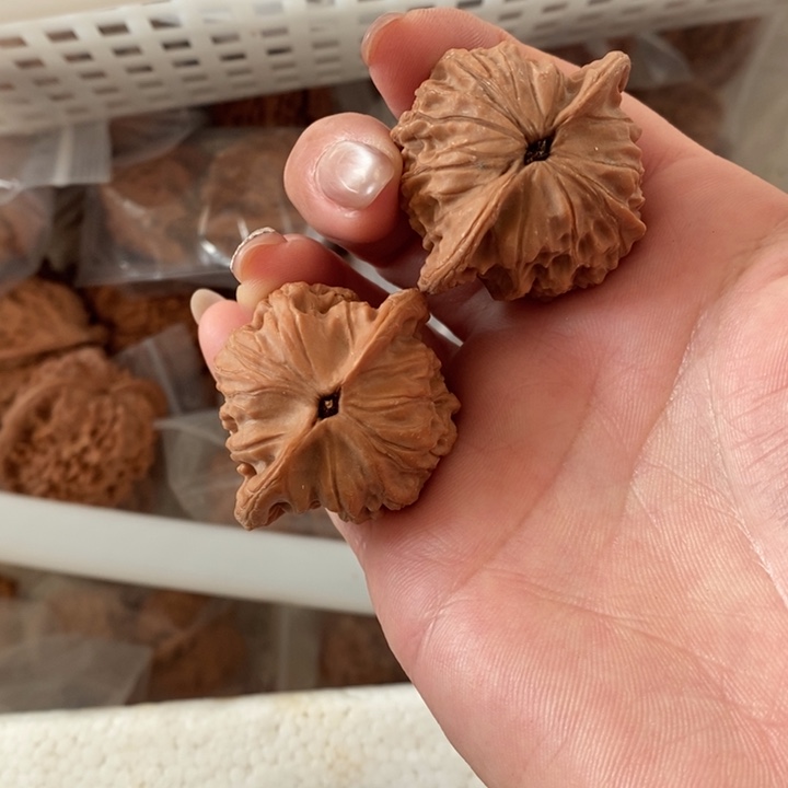 云**殢崔凯崔凯崔凯崔凯崔凯