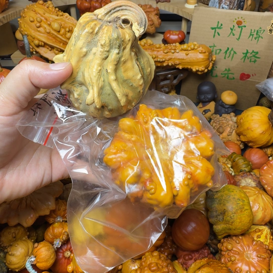 南****特价花皮葫芦不退不换