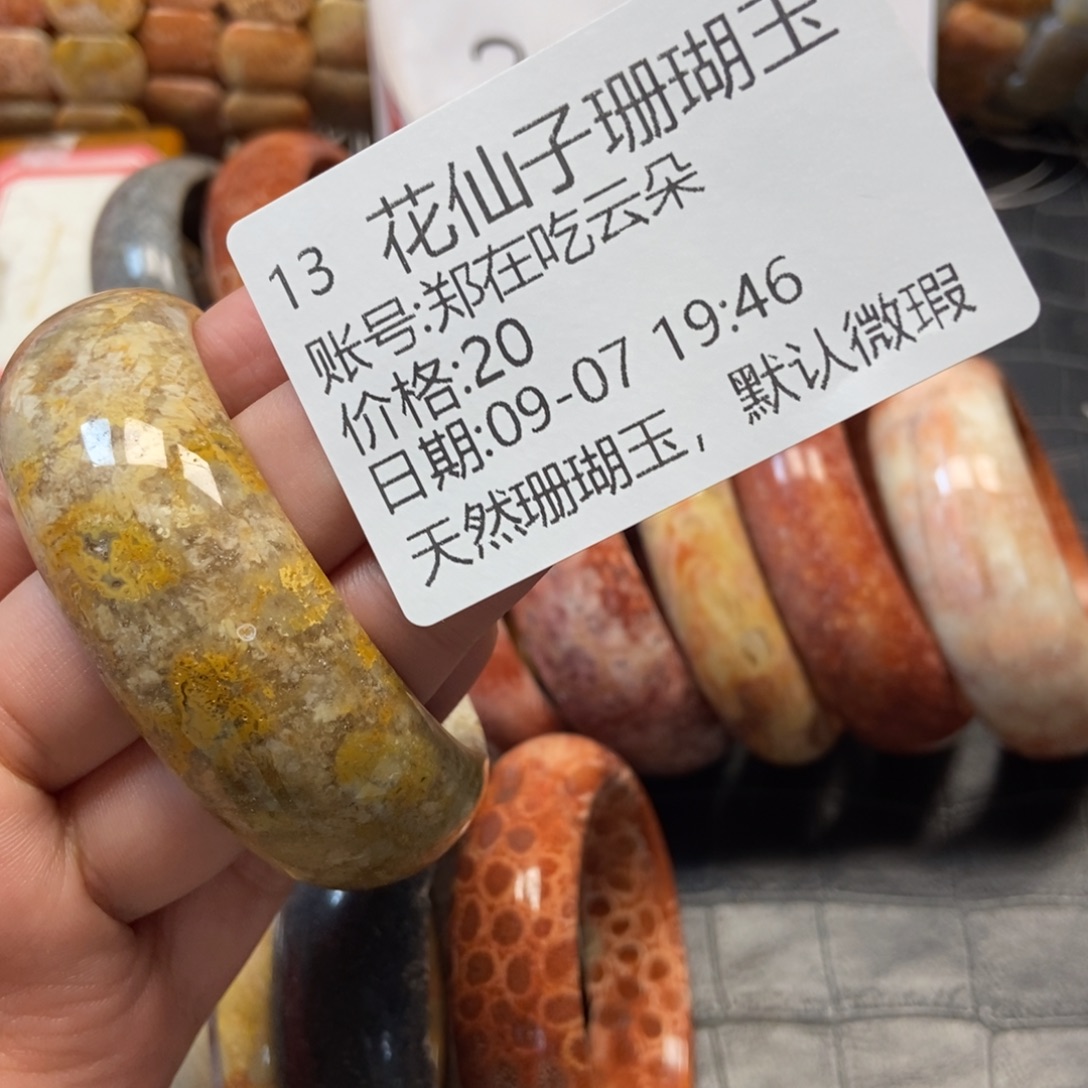郑***朵未镶嵌硅化珊瑚（珊瑚玉）珠宝半成品13