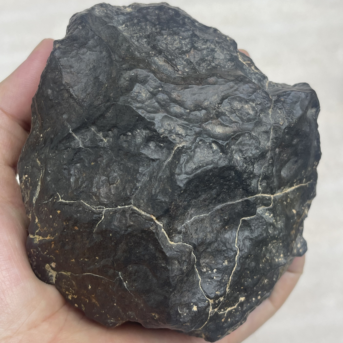 阿尔及利亚沙漠星石