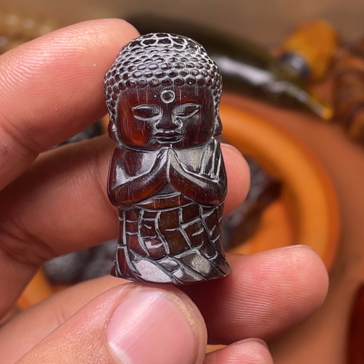 驼骨其他人工养殖