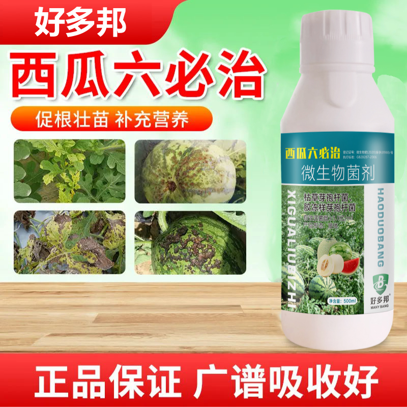 西瓜六必治防死苗甜香瓜哈密瓜枯萎蔓枯病通用叶面专用肥料