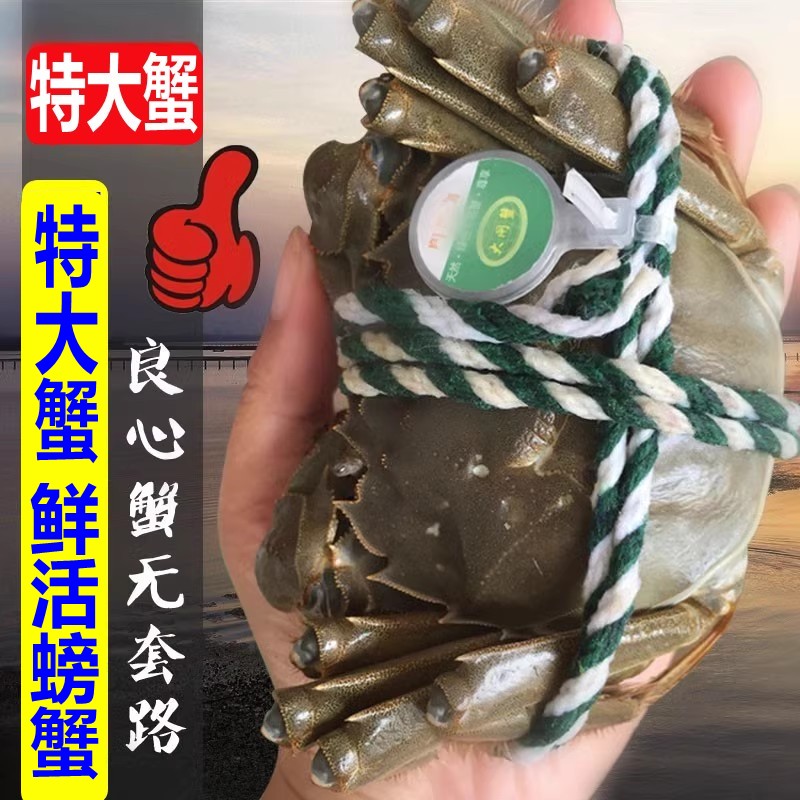 【活蟹】短腿大闸蟹公蟹5.0-4.8母蟹4.0-3.8两3-5斤6-10只