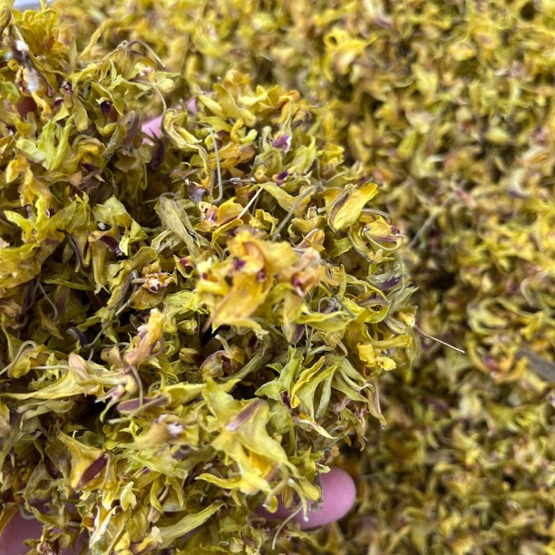 【石斛花】云南特产 村长推荐高山采摘精品