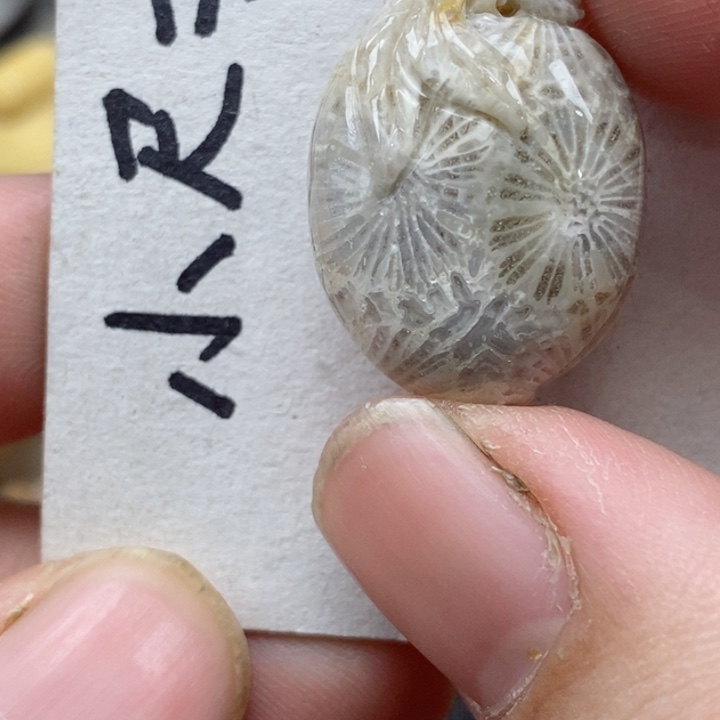 颈饰未镶嵌硅化珊瑚（珊瑚玉）