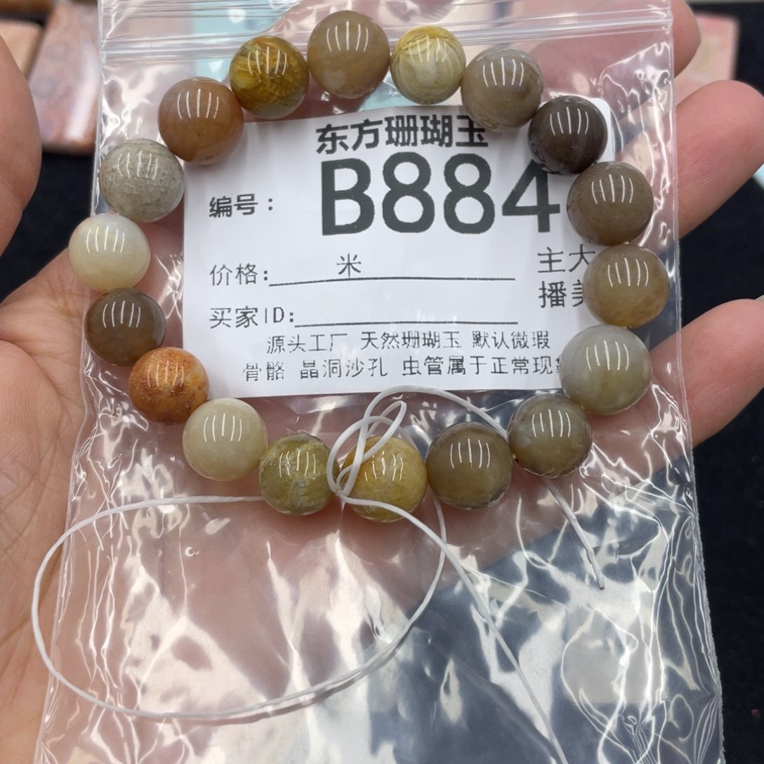 硅化珊瑚（珊瑚玉）颈饰合金