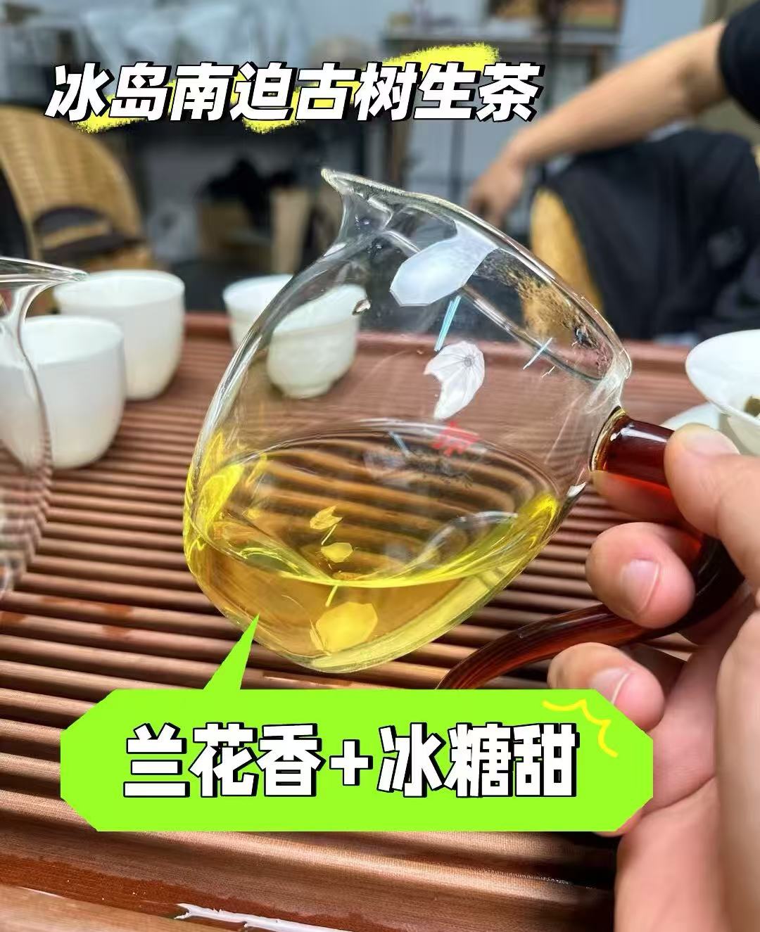 冰岛南迫百年古树春100克留客款