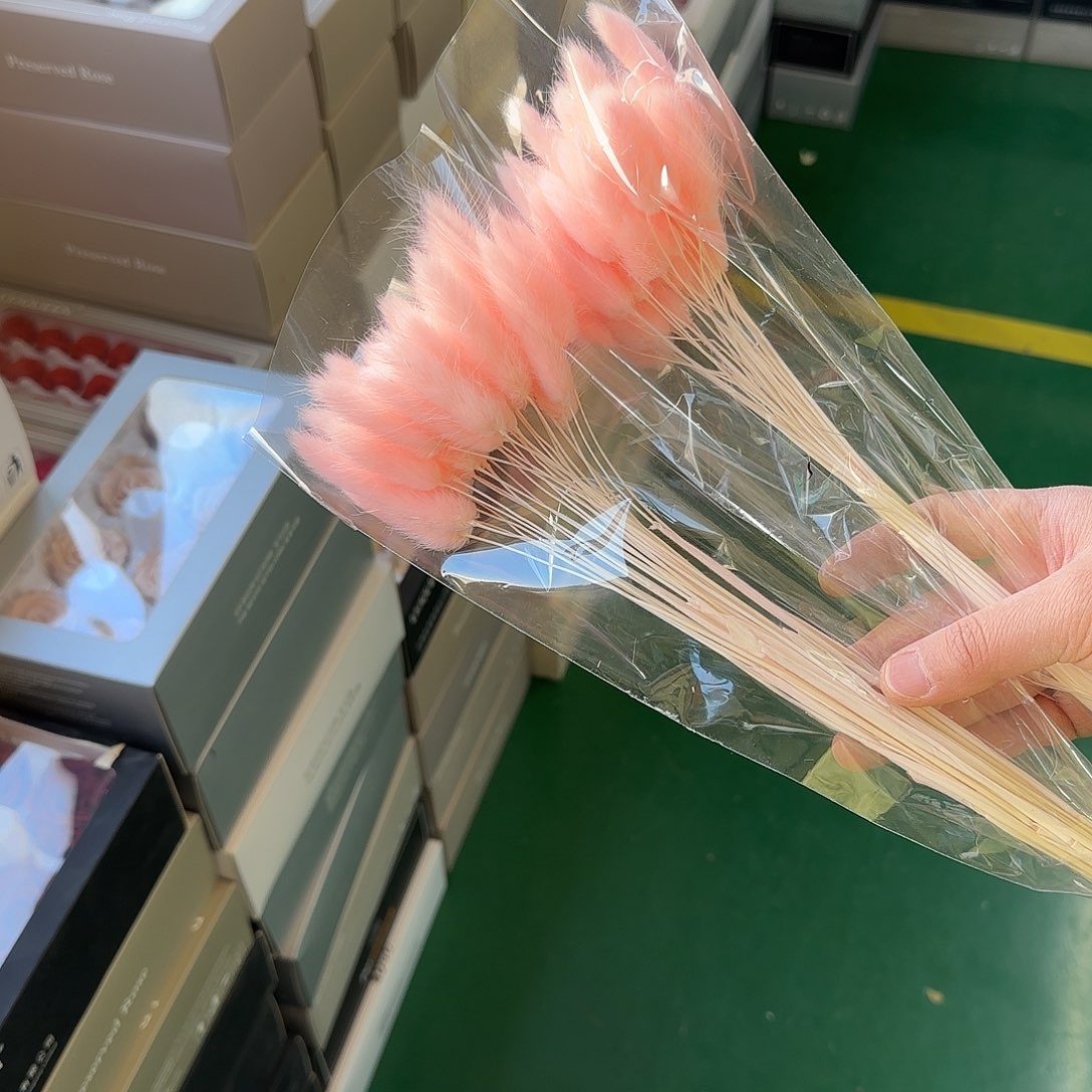 K103号粉色兔尾草正价
