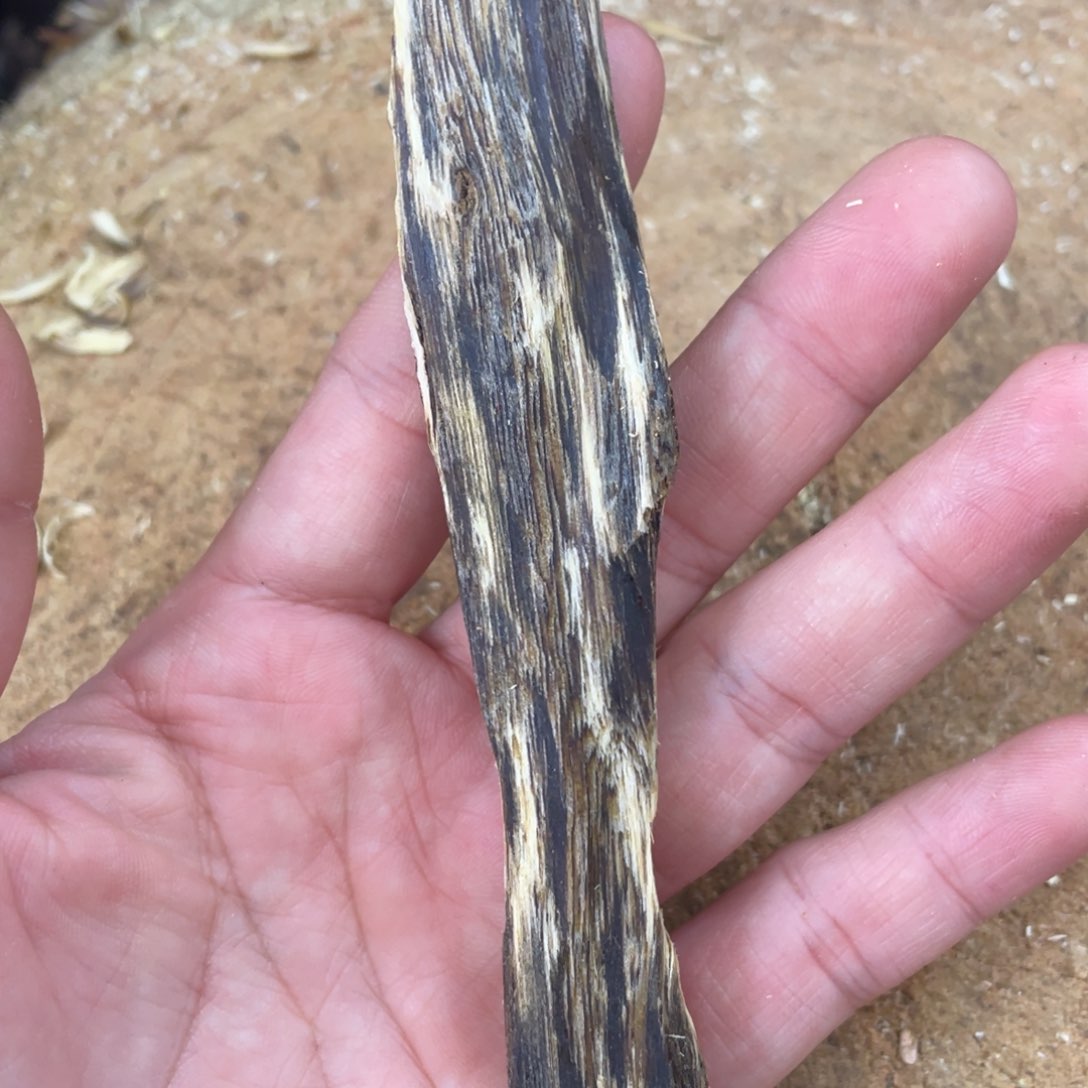 沉香木沉香碎屑奇楠沉香文创1