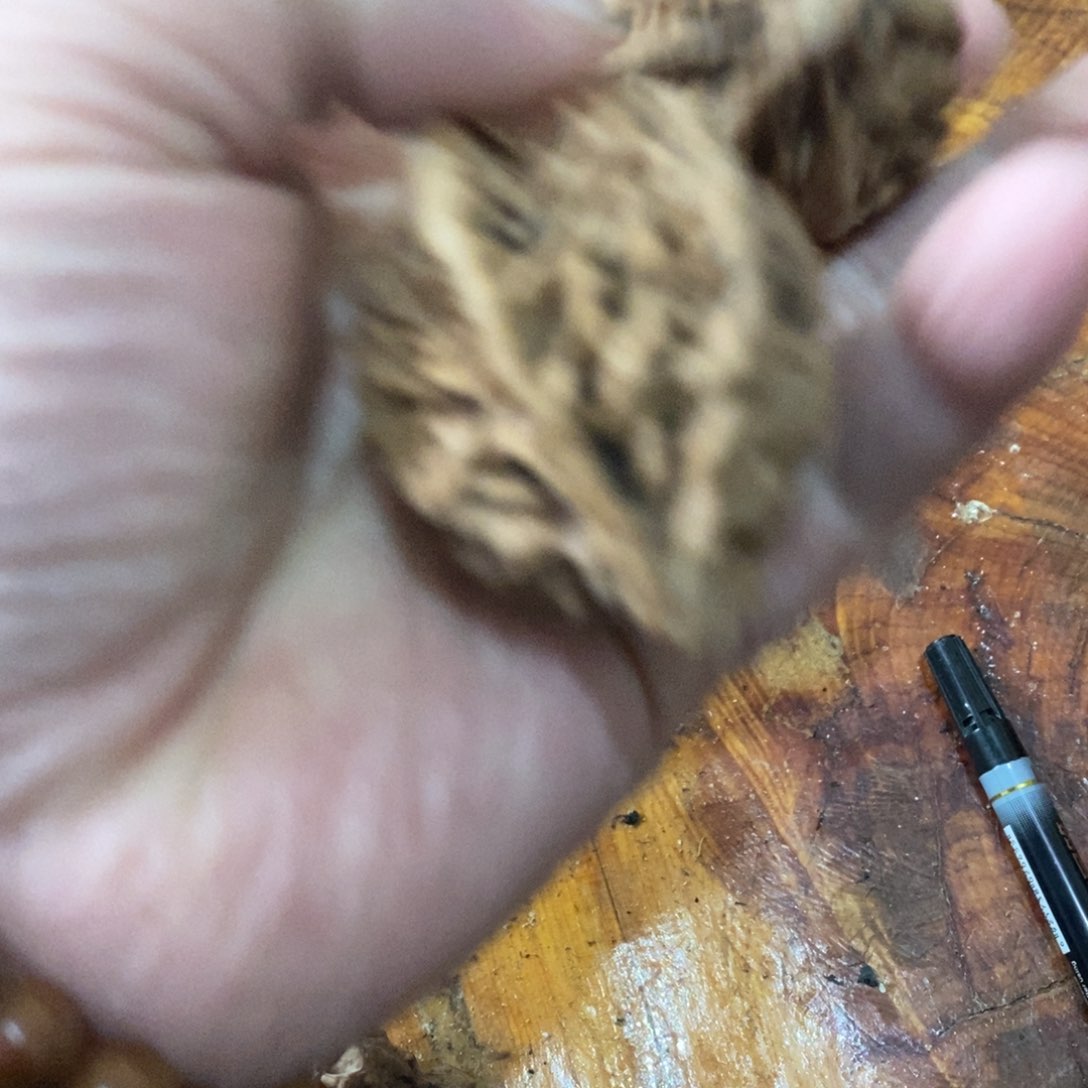 石*秦岭山脉东面临湖一带