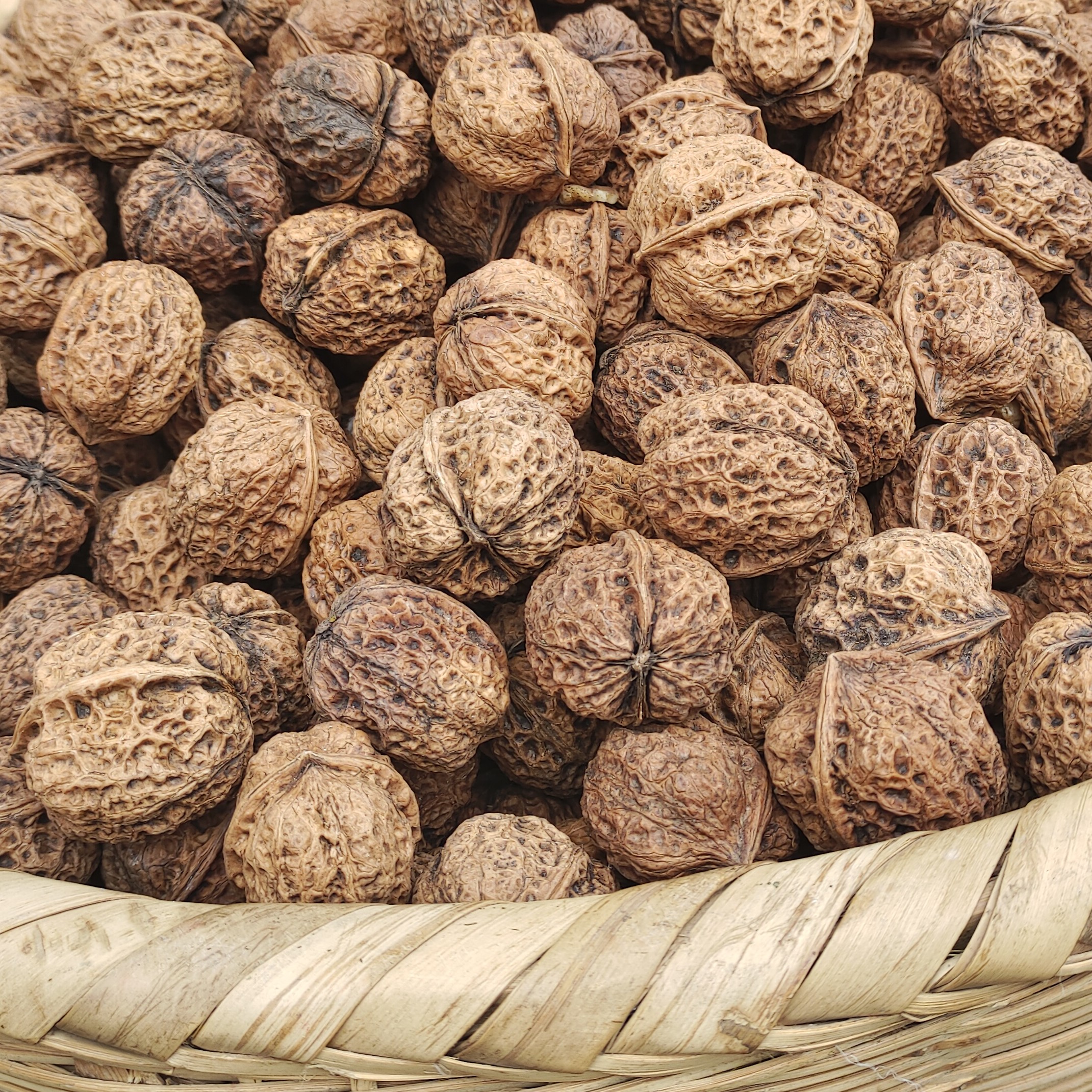 【村民代卖】大巴山乌米子核桃 薄皮的