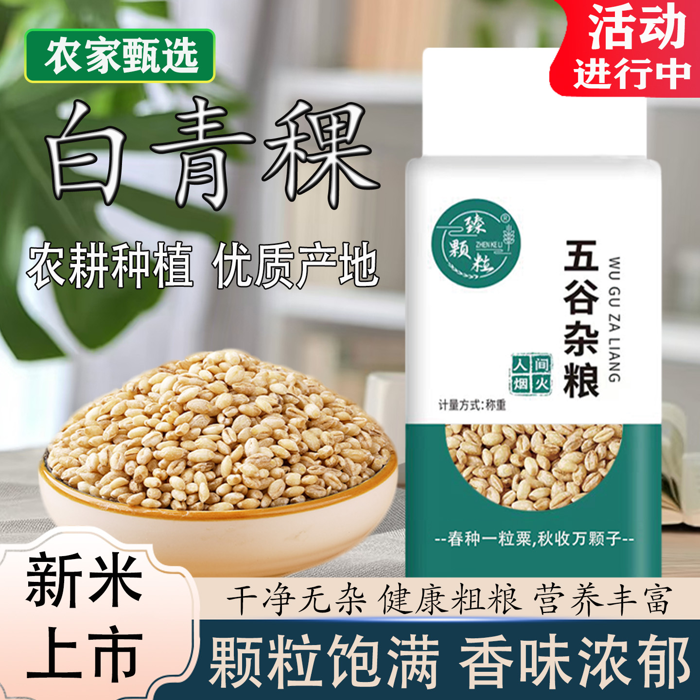 真空包装白青稞米当季新货青海高原白青稞仁新鲜粗粮代餐