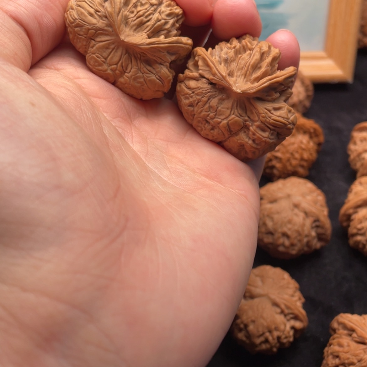 【闪购商品】文玩核桃把件雨花石舌头