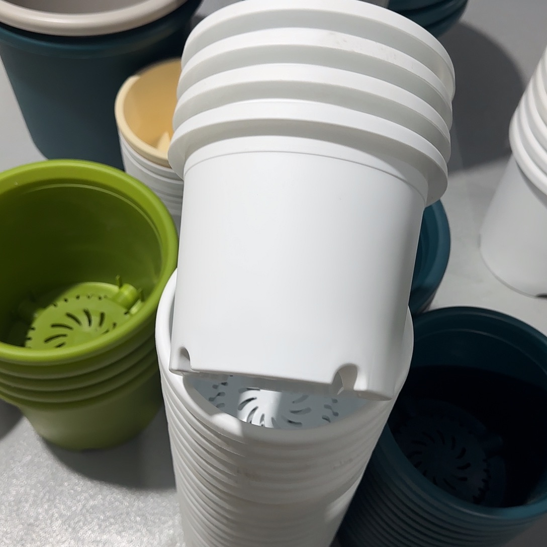 树脂四季3号带托5个，颜色留言