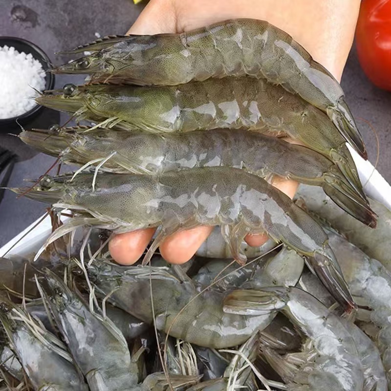 海白虾海明虾新鲜速冻锁鲜发货5斤