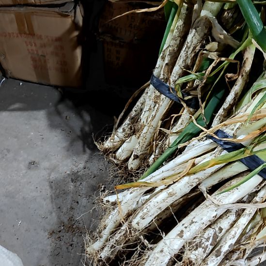 绿泥盘子碗茶壶啥都有10斤