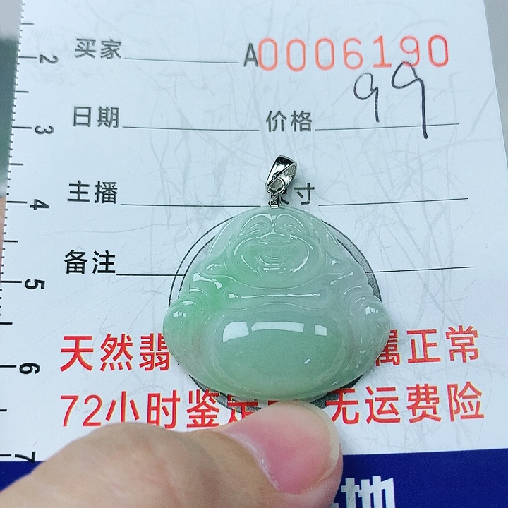 翡翠颈饰银S925镶嵌翡翠