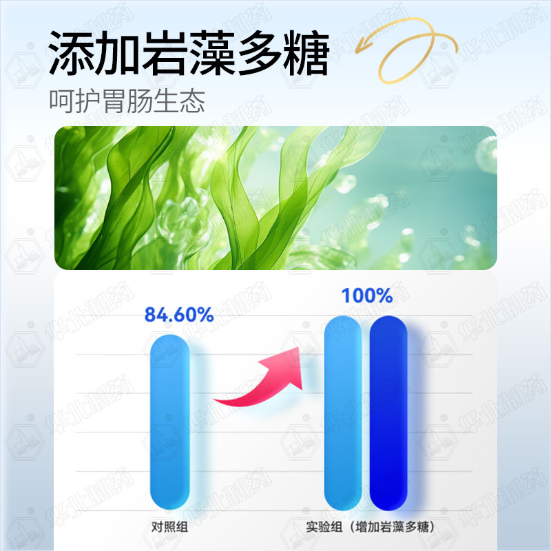 华北制药岩藻多糖益生菌冻干粉（活菌型）