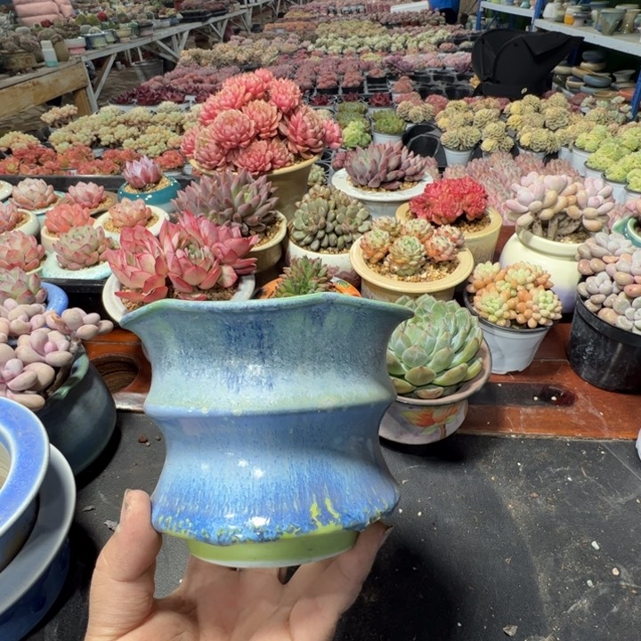 特价花盆满50发货 内口11