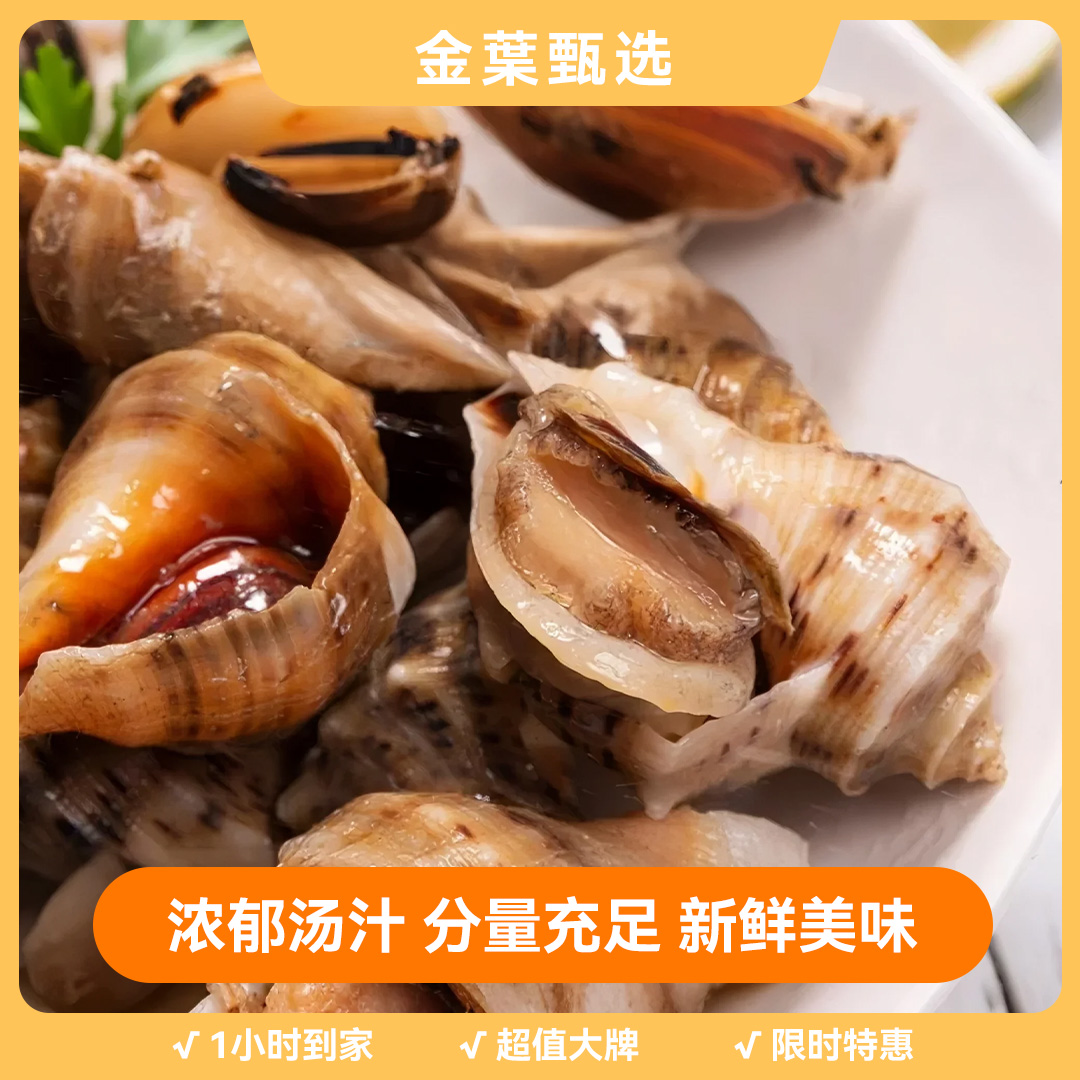 【金叶甄选】鲜活小海螺 一斤12.9/斤（生）【保鲜不保活】