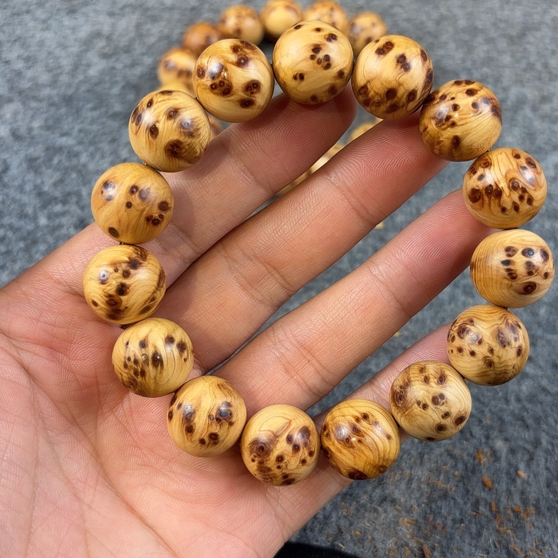 崖柏太行崖柏榴花1.5（保证太行）