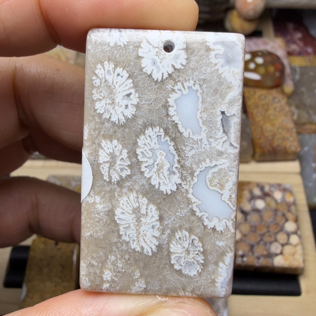 硅化玉未镶嵌纯天然色有机玉石保真色