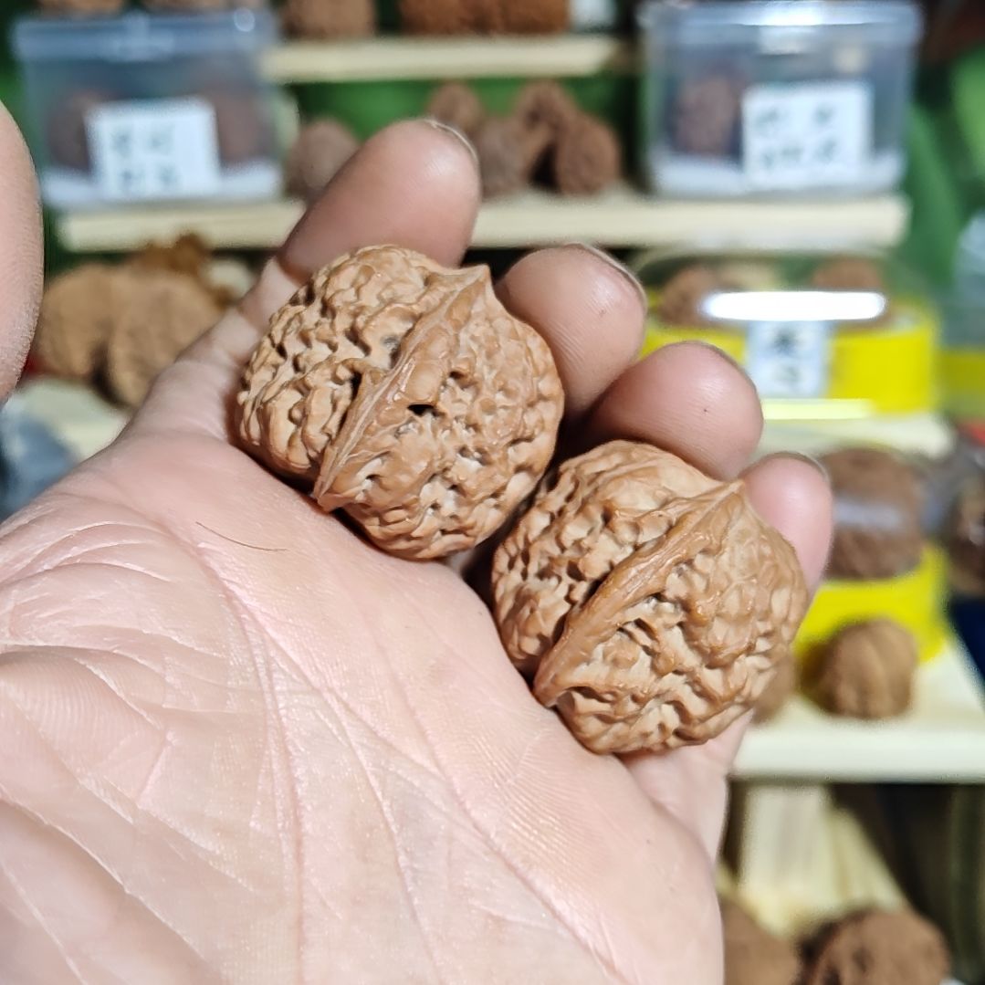 34加尺寸，小众大团圆