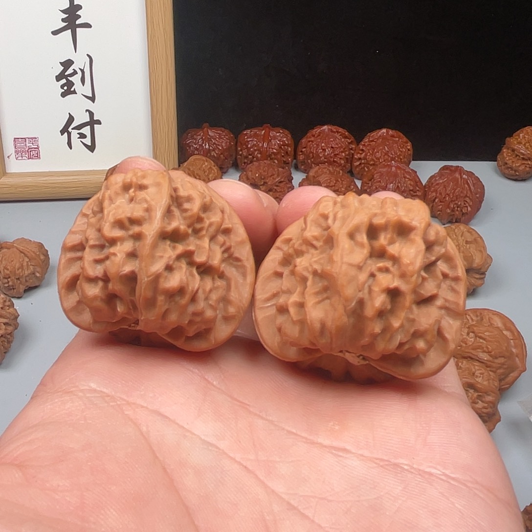 核桃平谷野十三系列龙娃