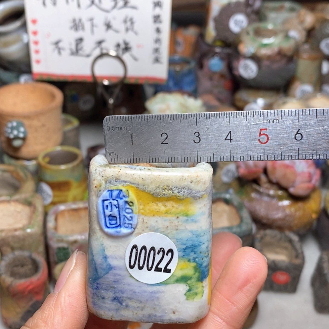 花盆拍3送一个小礼物