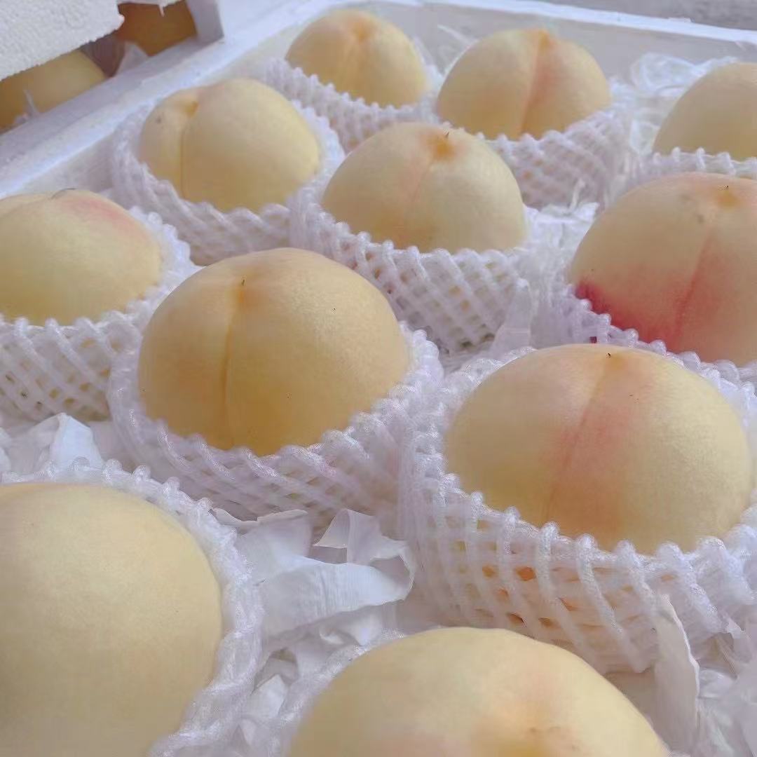 新沂水蜜桃脆甜爽口，肉满多汁，顺丰包邮，今天拍明天到，江苏省