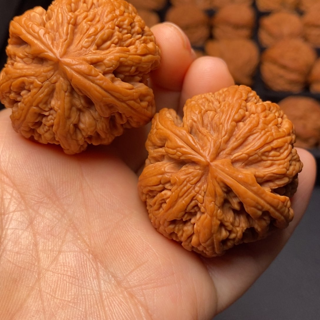 文玩核桃把件秦岭野生核桃