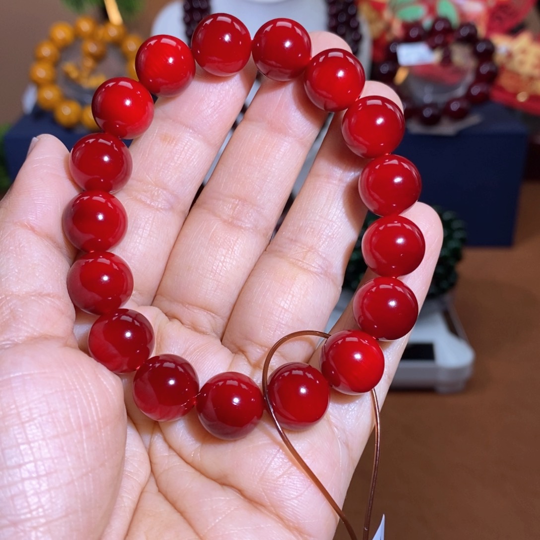 贝壳杉帝王血龙木1.2