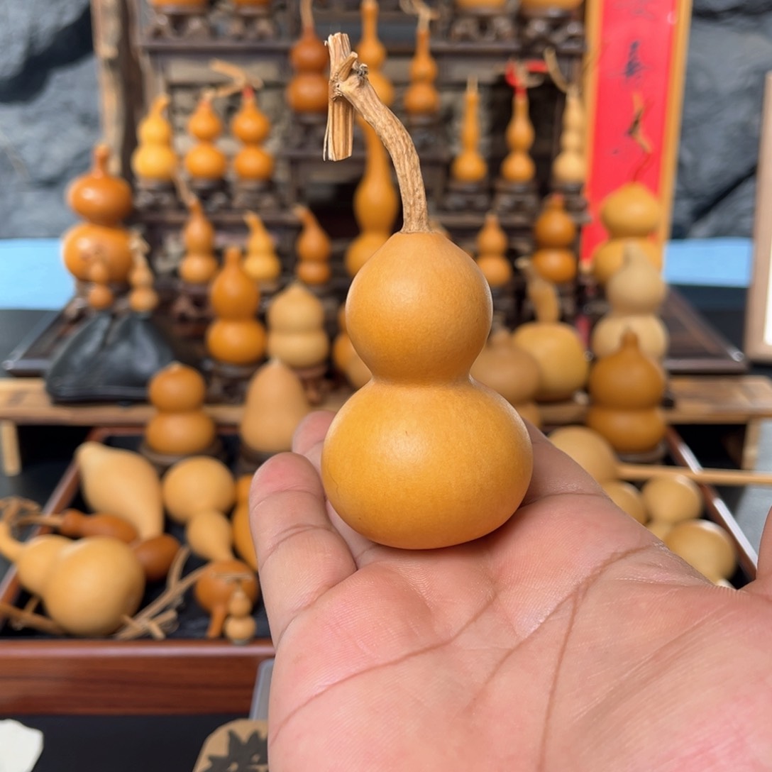 前****3葫芦58658878889999