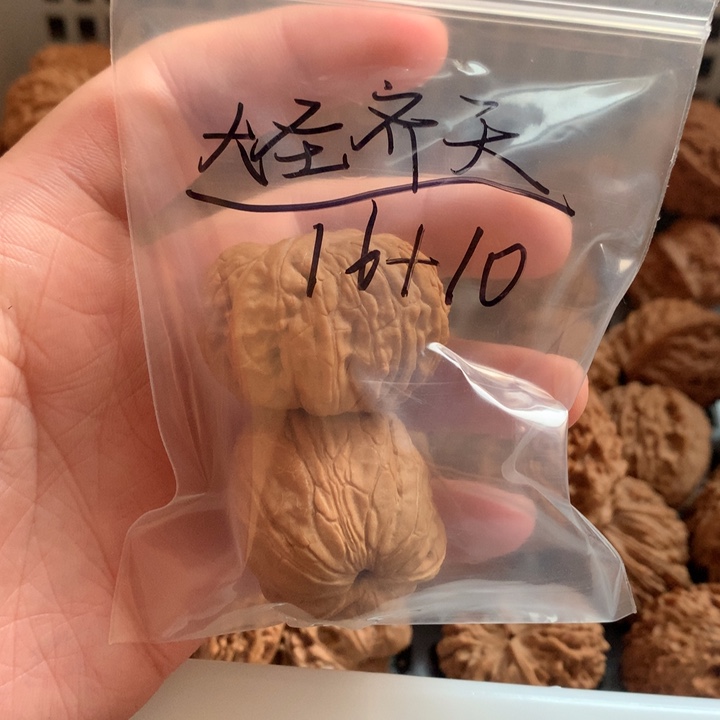 大***ⁱ文玩核桃把件俩单只