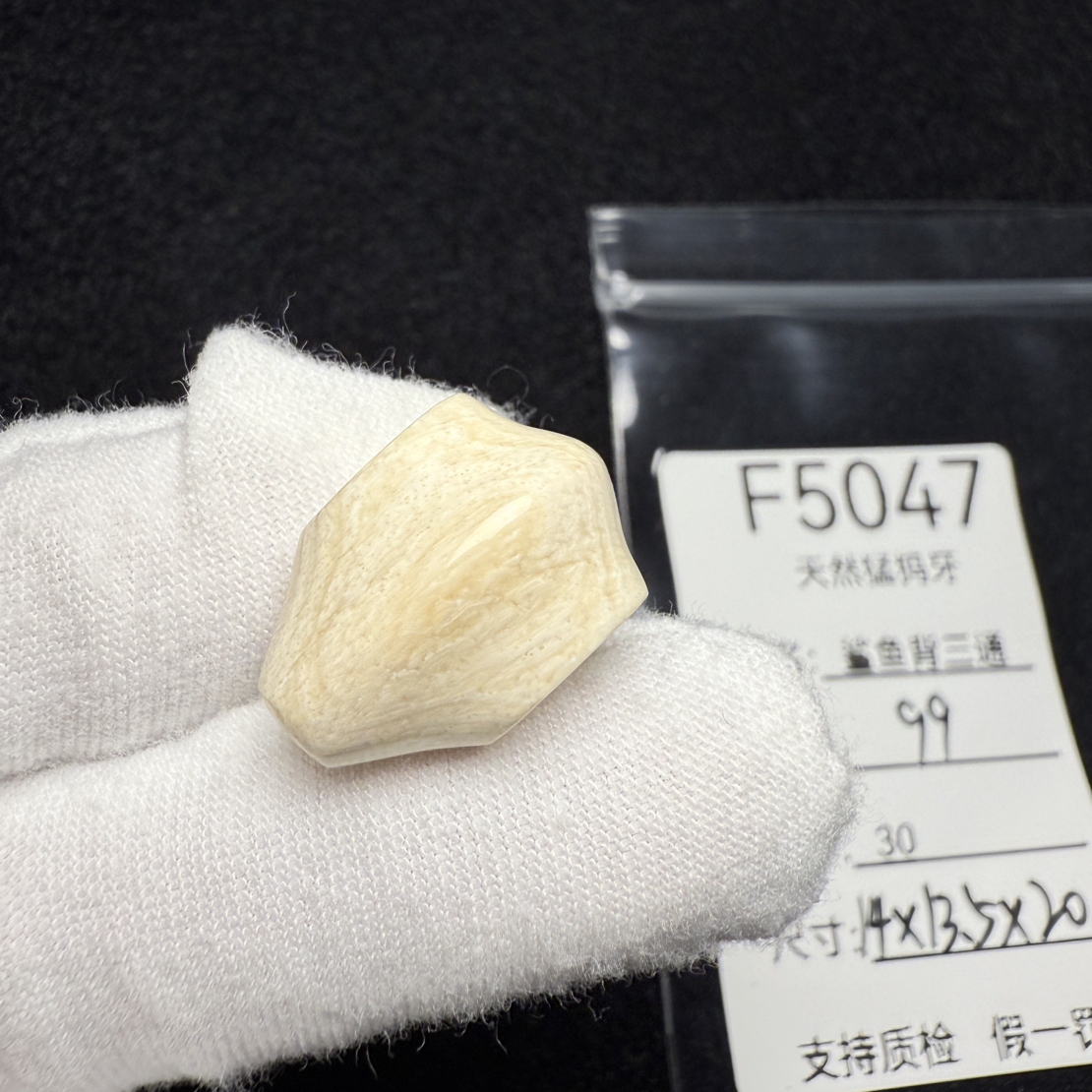 F5047猛犸象牙鲨鱼背一体三通冰料果冻料14*13.5*20mm