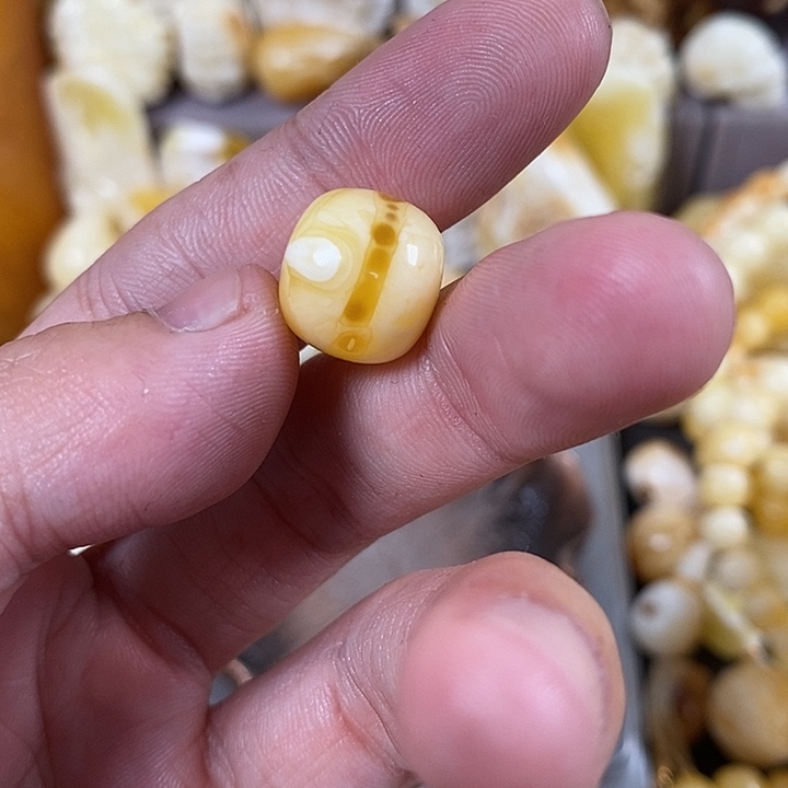 琥珀裸石未镶嵌我