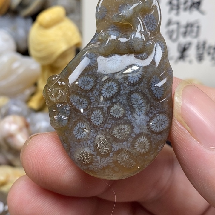 硅化珊瑚（珊瑚玉）未镶嵌颈饰