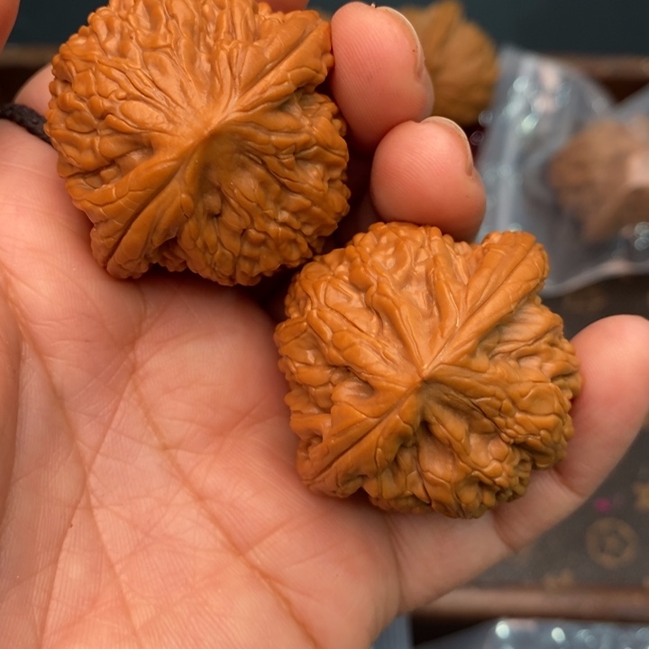 核桃虎头王41尺核桃